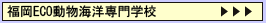 �����G�R�E�R�~���j�P�[�V�������w�Z