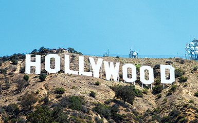 HOLLY WOOD