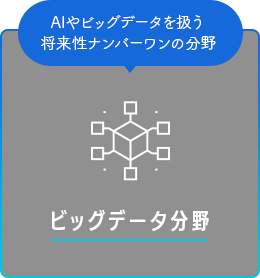 ビッグデータ分野